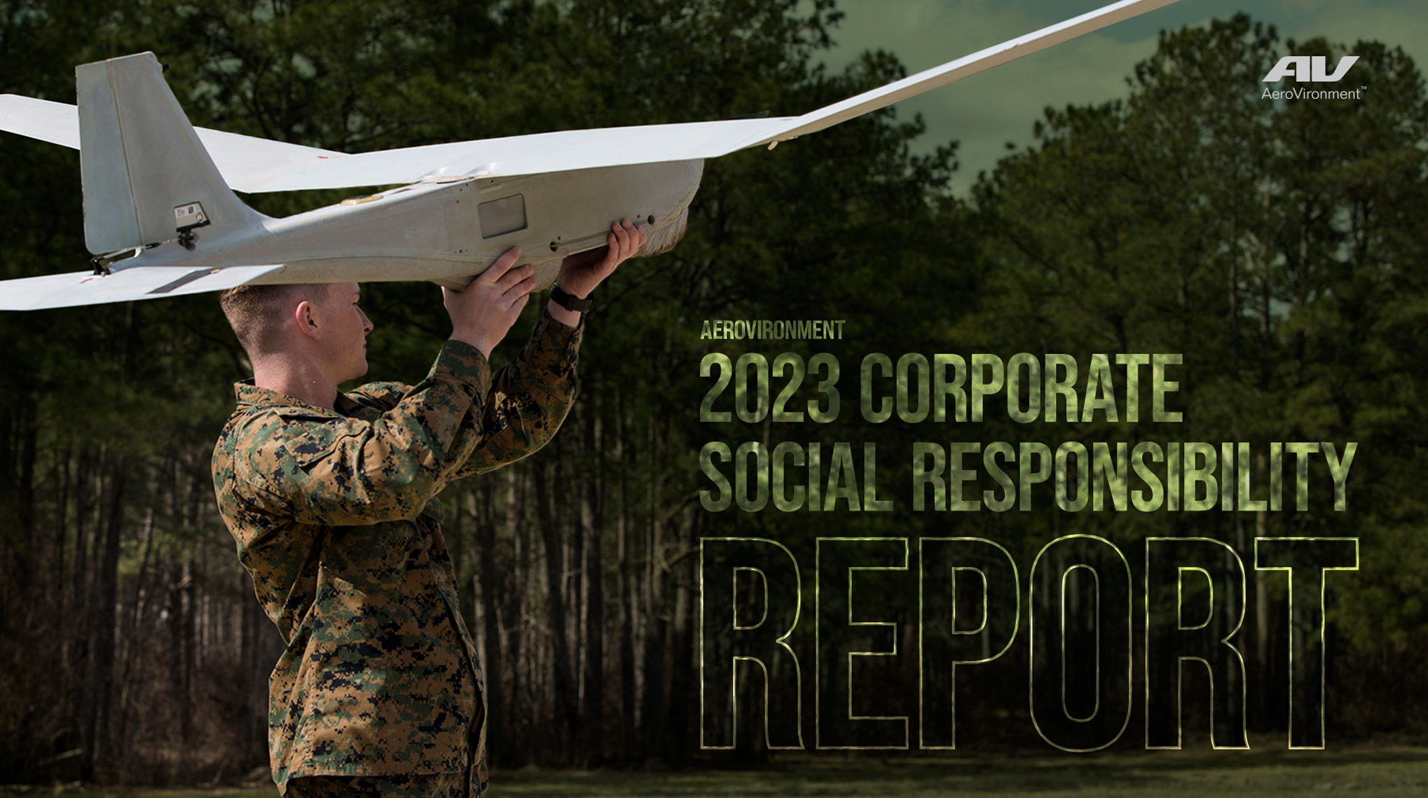 AVCSR Report 2023